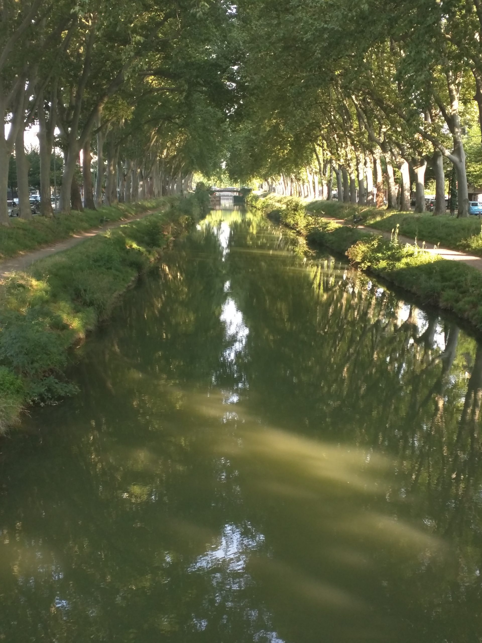 Canal de Brienne Toulouse